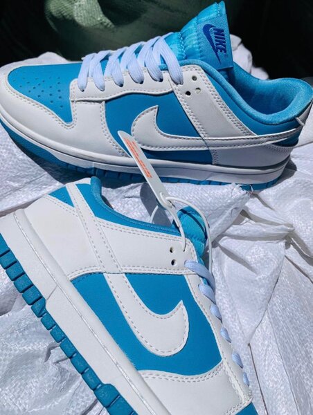 Nike SB dunks