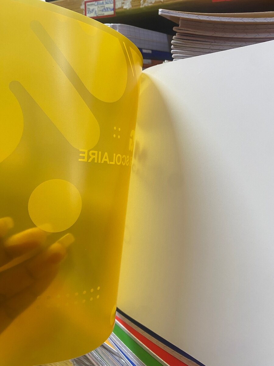 Cahier M&G polypro 100pg