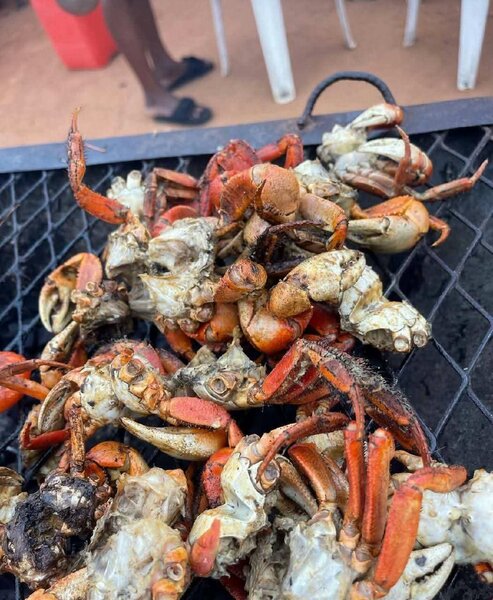 Crabes poilus braisés