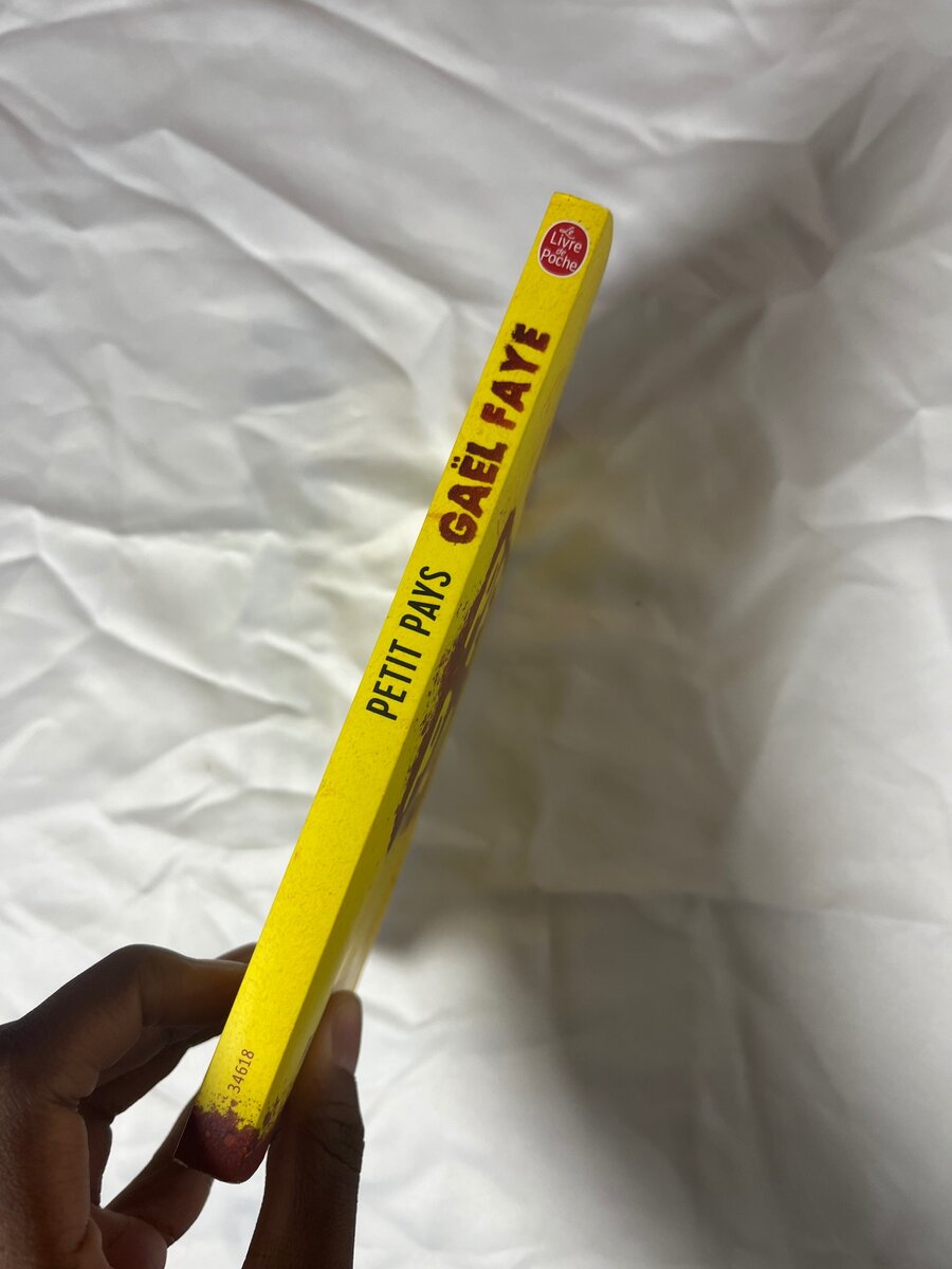 Petit pays de Gaël Faye