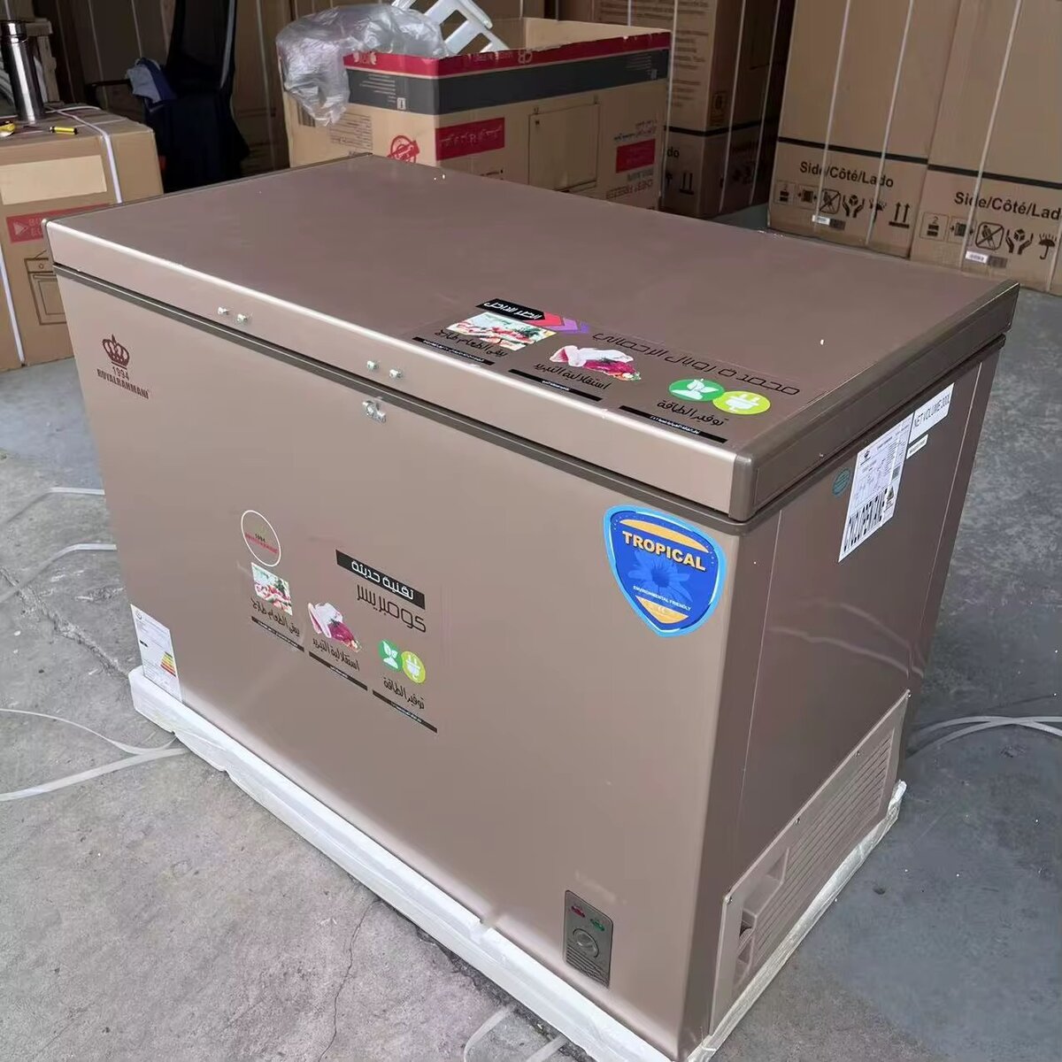 Congélateur coffre Royal