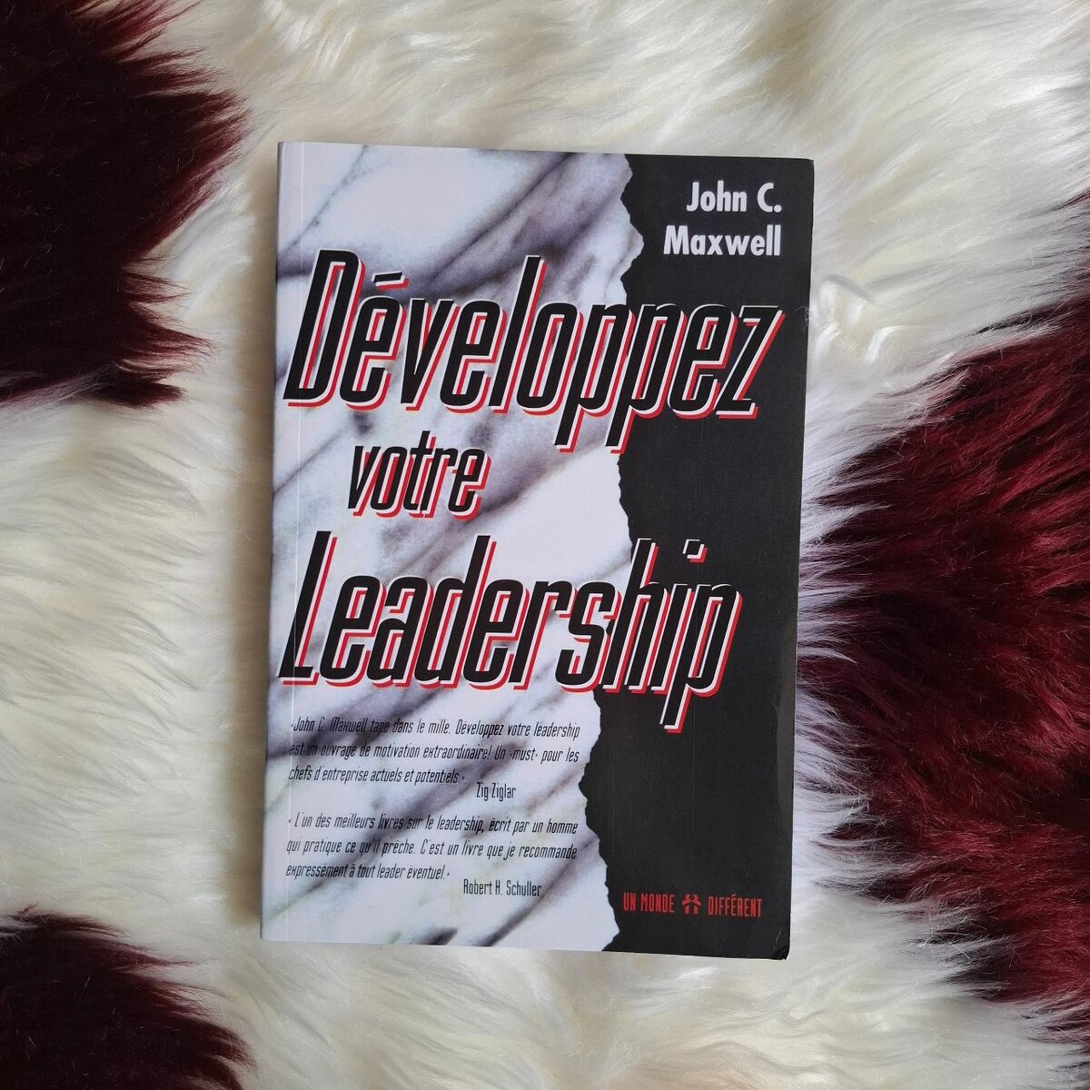 Développez votre Leadership