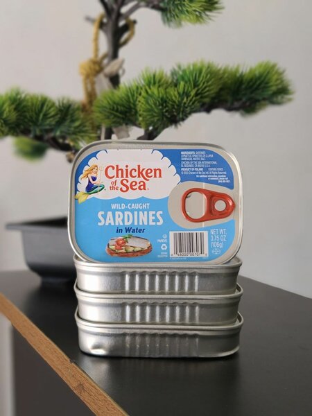 Chciken of the sea sardine in water