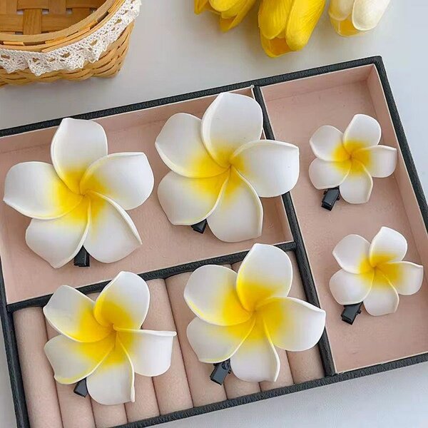 Pinces à cheveux fleurs tropicales