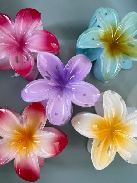 Pinces à cheveux fleurs colorées