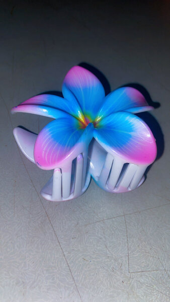 Pince fleurs colorées