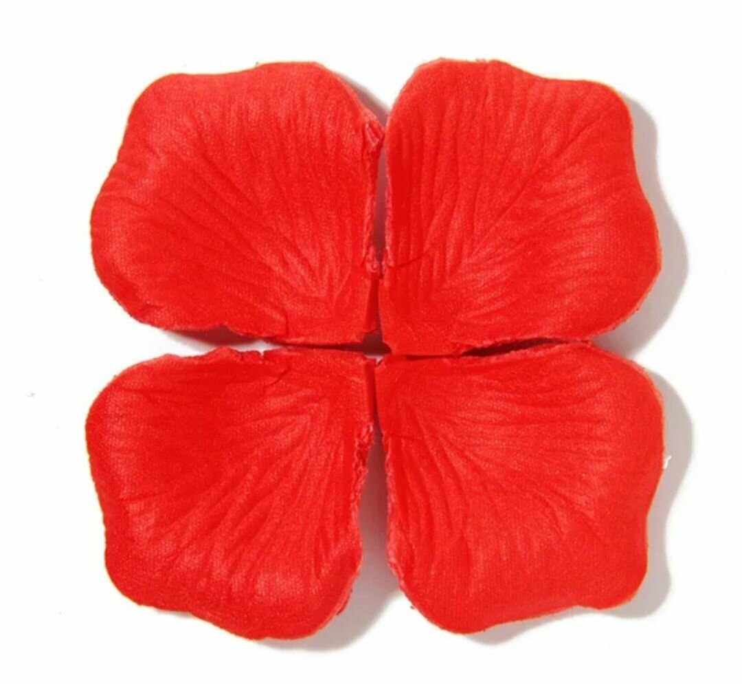 Pétales rouges lot de 100
