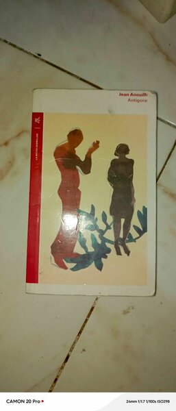 Dictionnaire et Livres Français