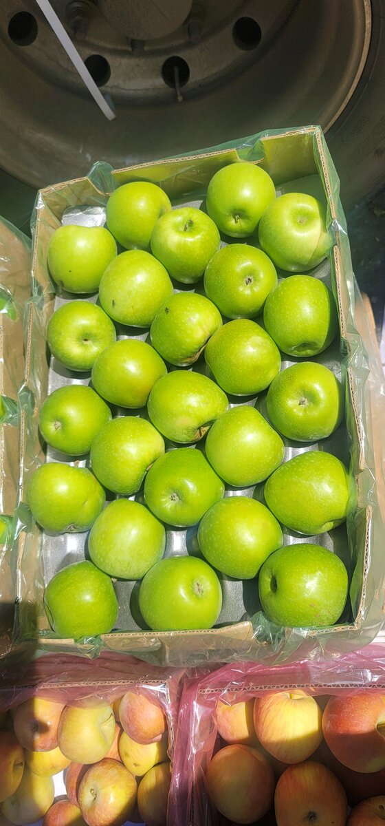 Granny smith(Green apple)