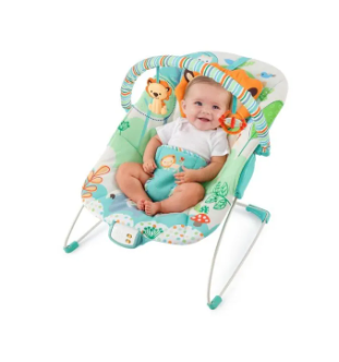 Baby Music & Soothe Bouncer