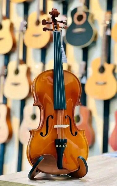 Violon 4/4 Smiger V-10-MB
