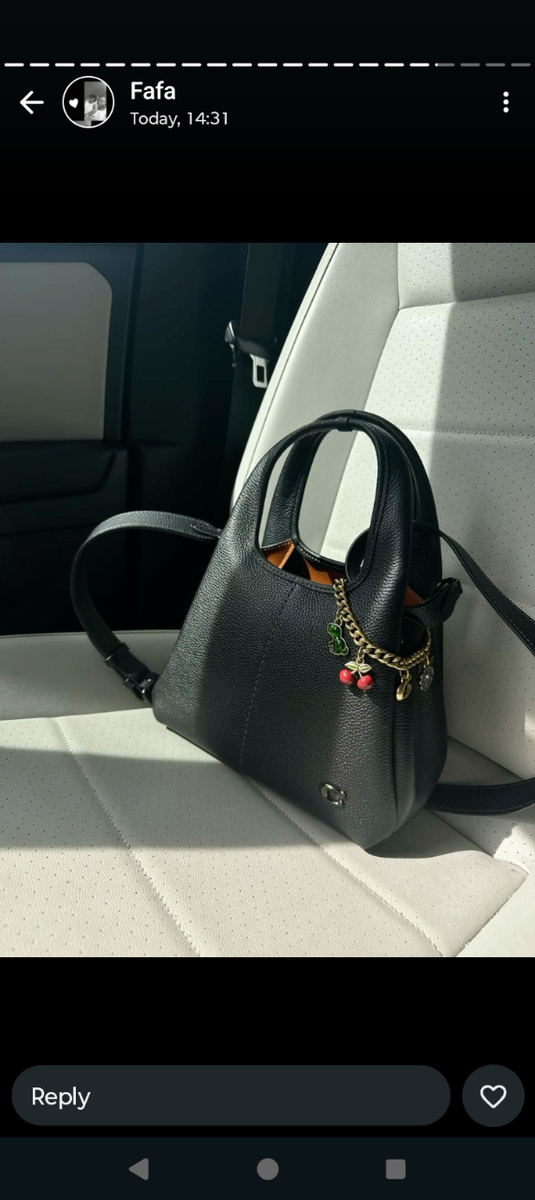Ladies bag