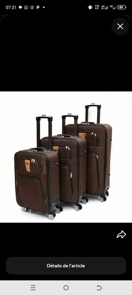 Ensemble Valises à roulettes