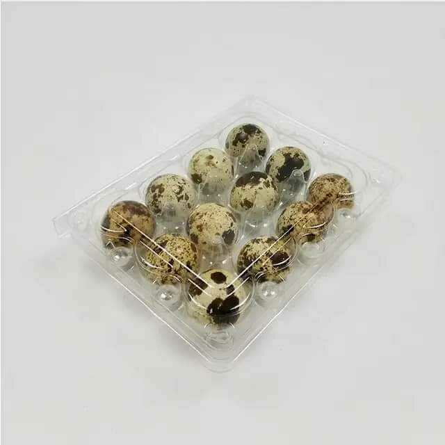 Oeufs de Caille Frais