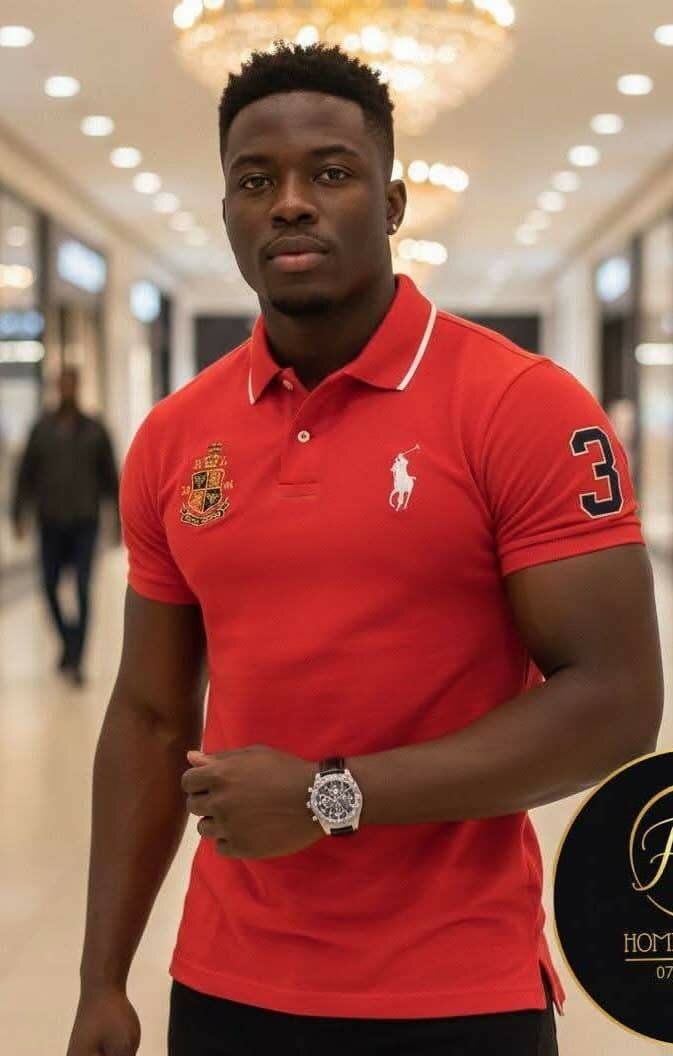 Polo élégant pour hommes