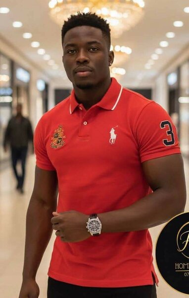 Polo élégant pour hommes