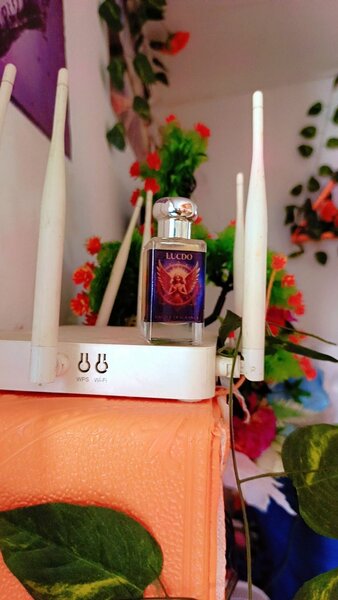 Parfum LUCDO Homme Intense