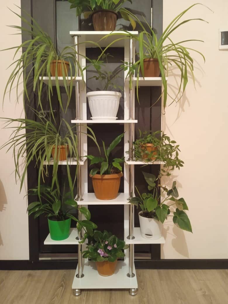 Полка для цветов