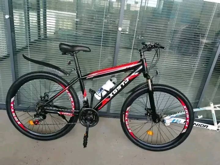 VTT XGTR 29" robuste