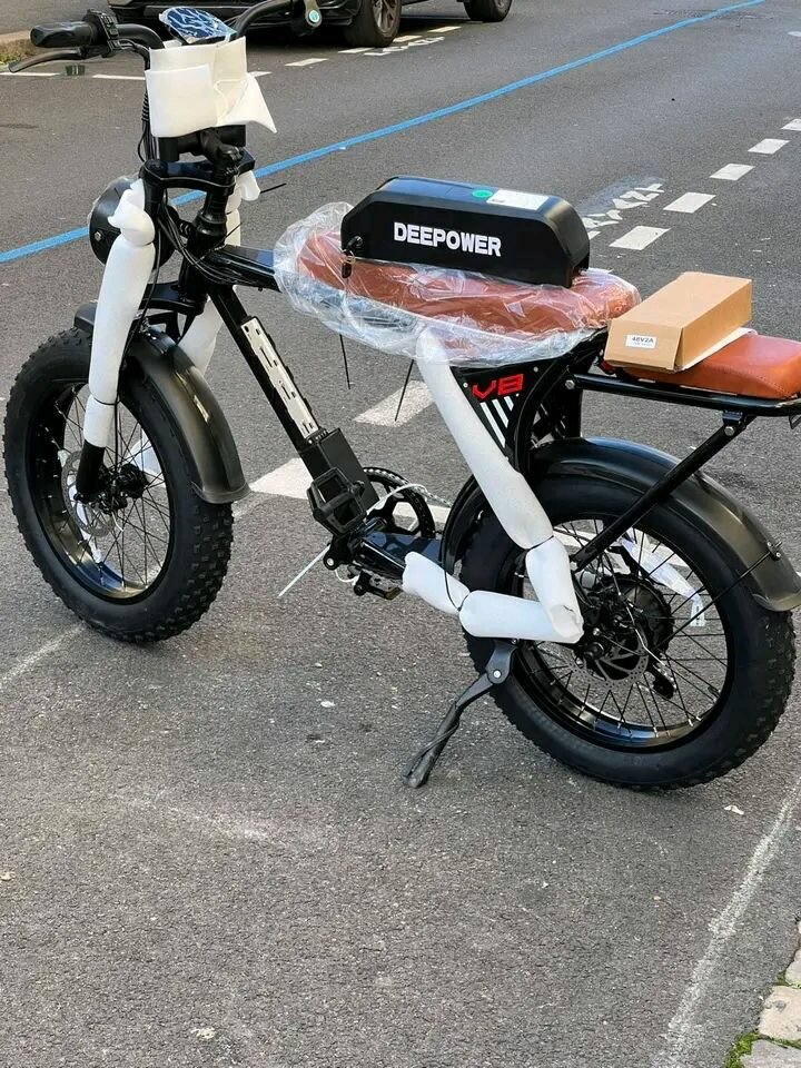 Vélo Électrique PUISSANT