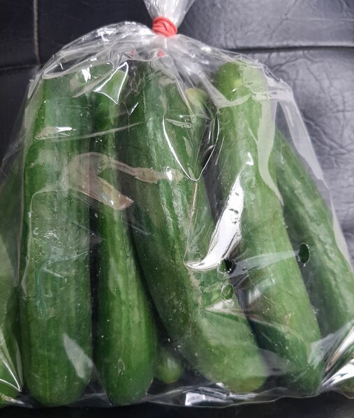 Lebanese cucumber