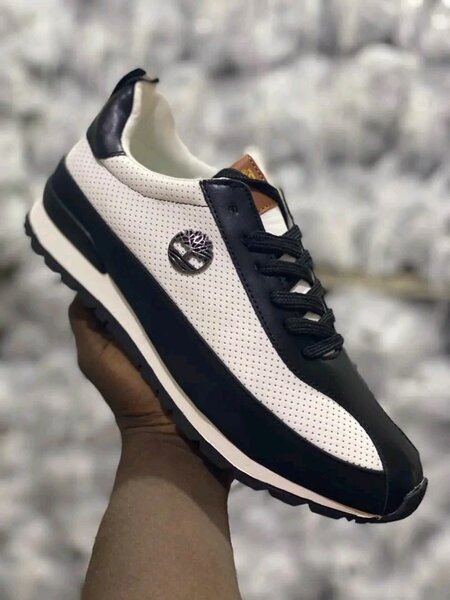 Chaussure Timberland