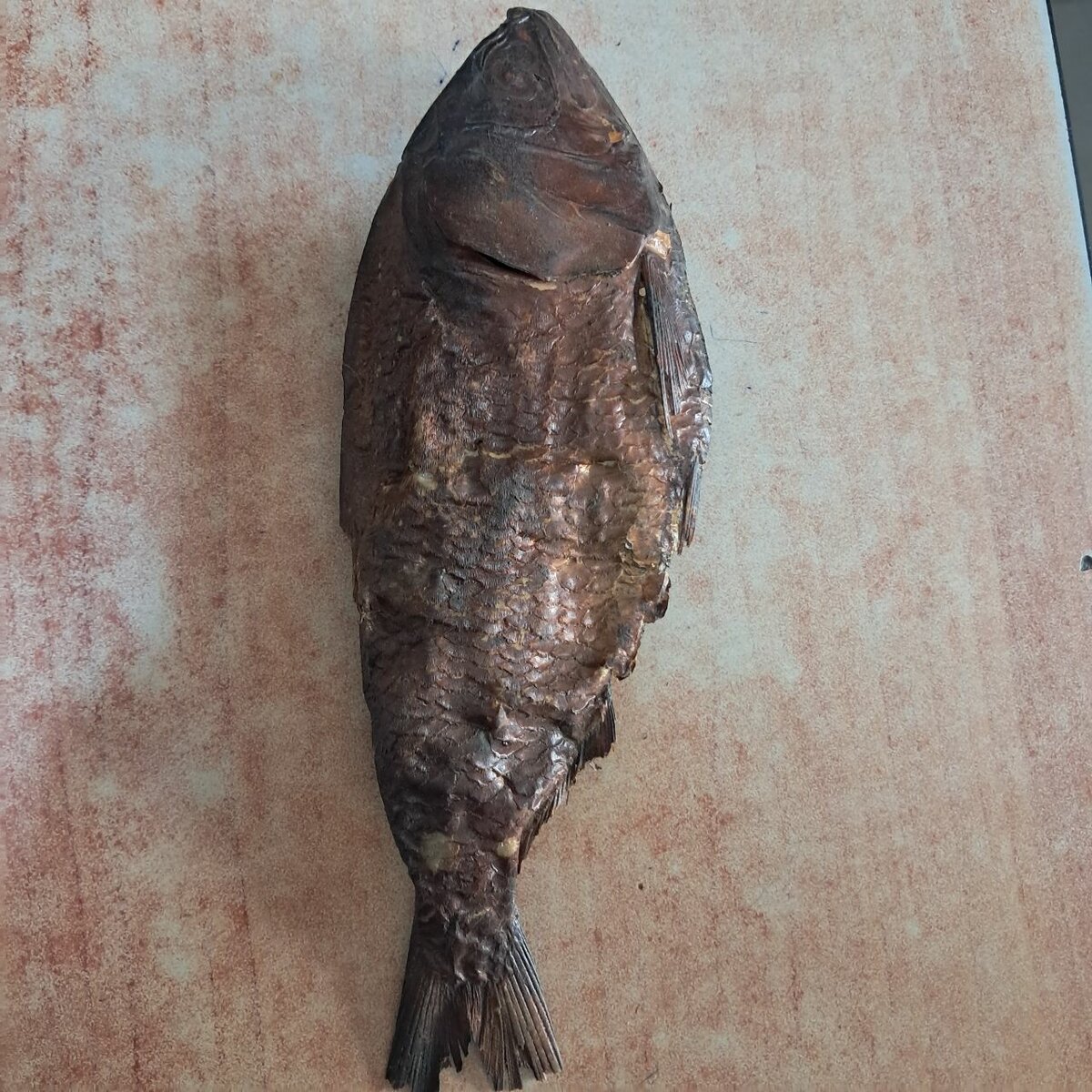 Bonga fish