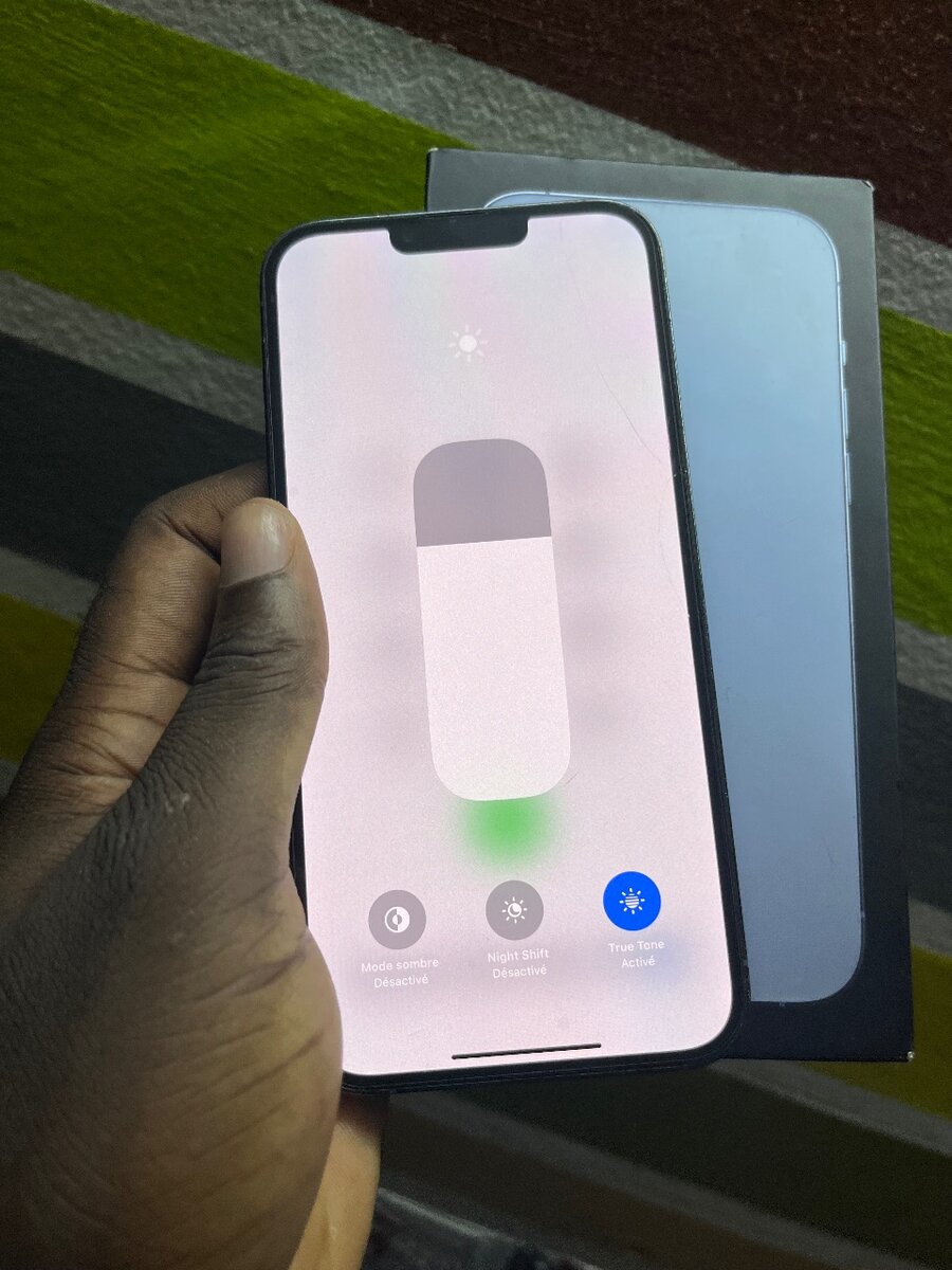 iPhone 13 Pro Max 256gb