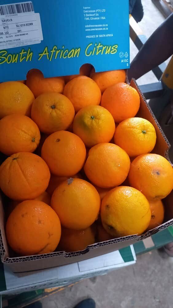 Oranges fraîches d'Afrique du Sud