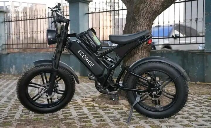 Vélo électrique tout-terrain Ecoride