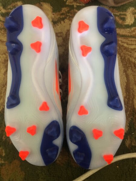 F50 сороконошки