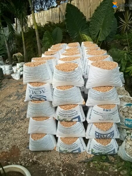 Plantes d'intérieur