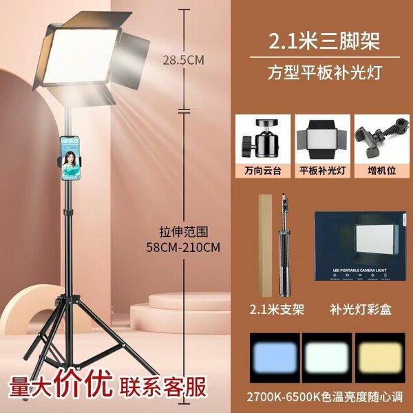 LED Light
