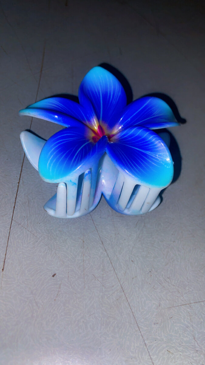 Pince fleurs colorées