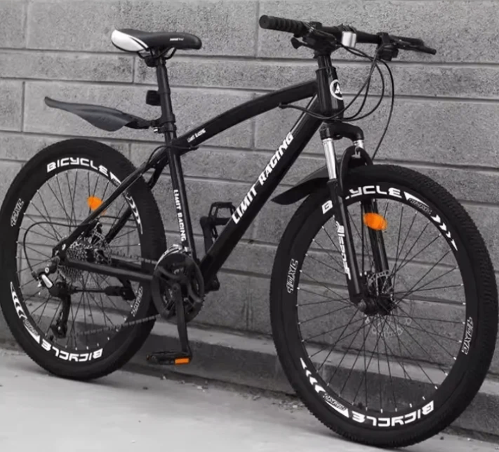 Vélo de Montagne Tout-Terrain