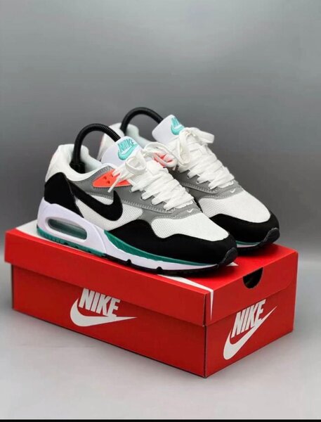 Baskets Nike Air Max modernes