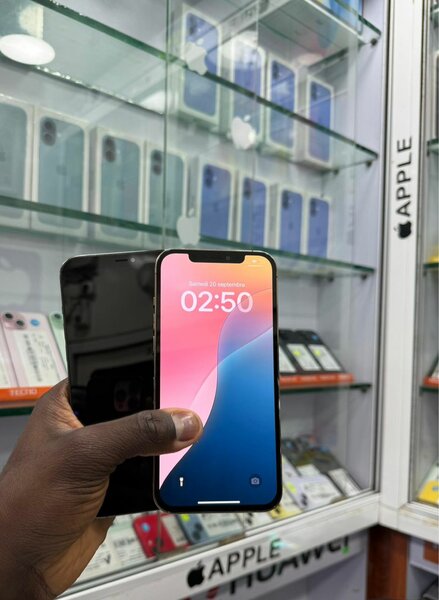 12 Pro Max 128Go sans Face id