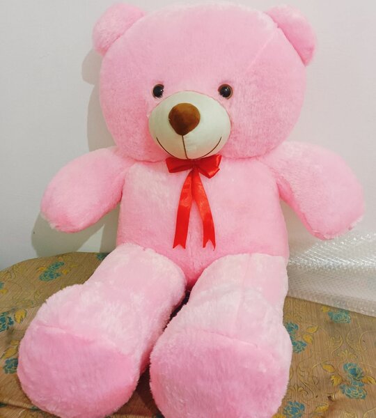 Teddy bear