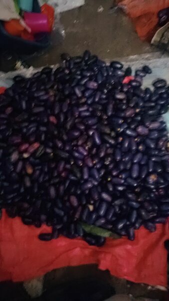 Prunes Noires Sélectionnées