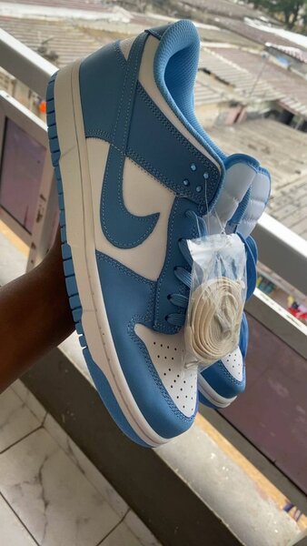 Nike Dunk Low dans carton