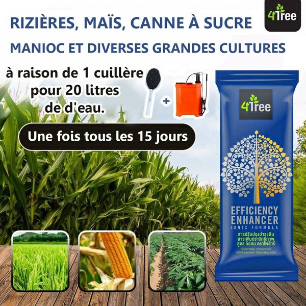 4TREE: le TOP des engrais