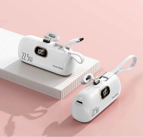 Power Bank Authentique