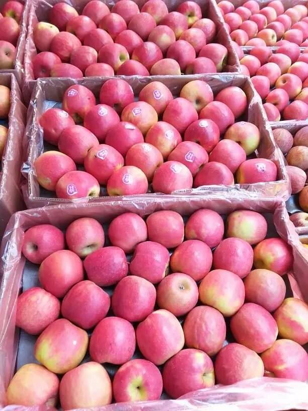 Fruits and Vegitables wholesale free delivery