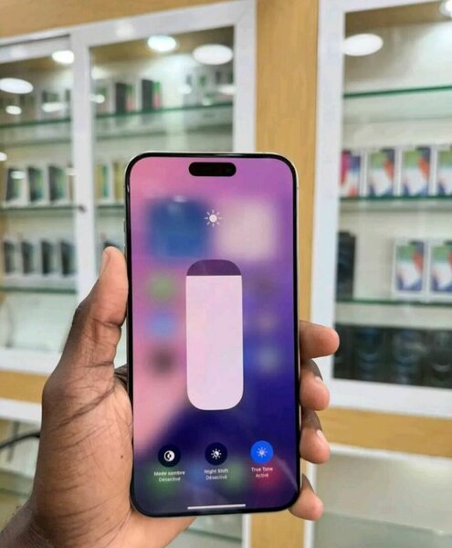 iPhone 14 Pro Max Argent