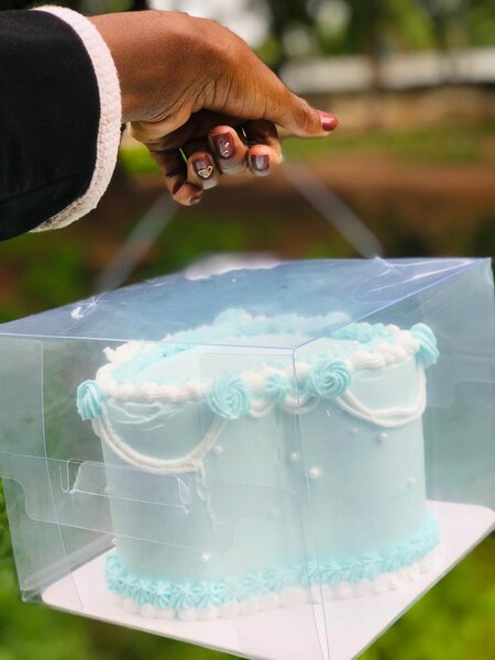 Heart shaped Bento cake