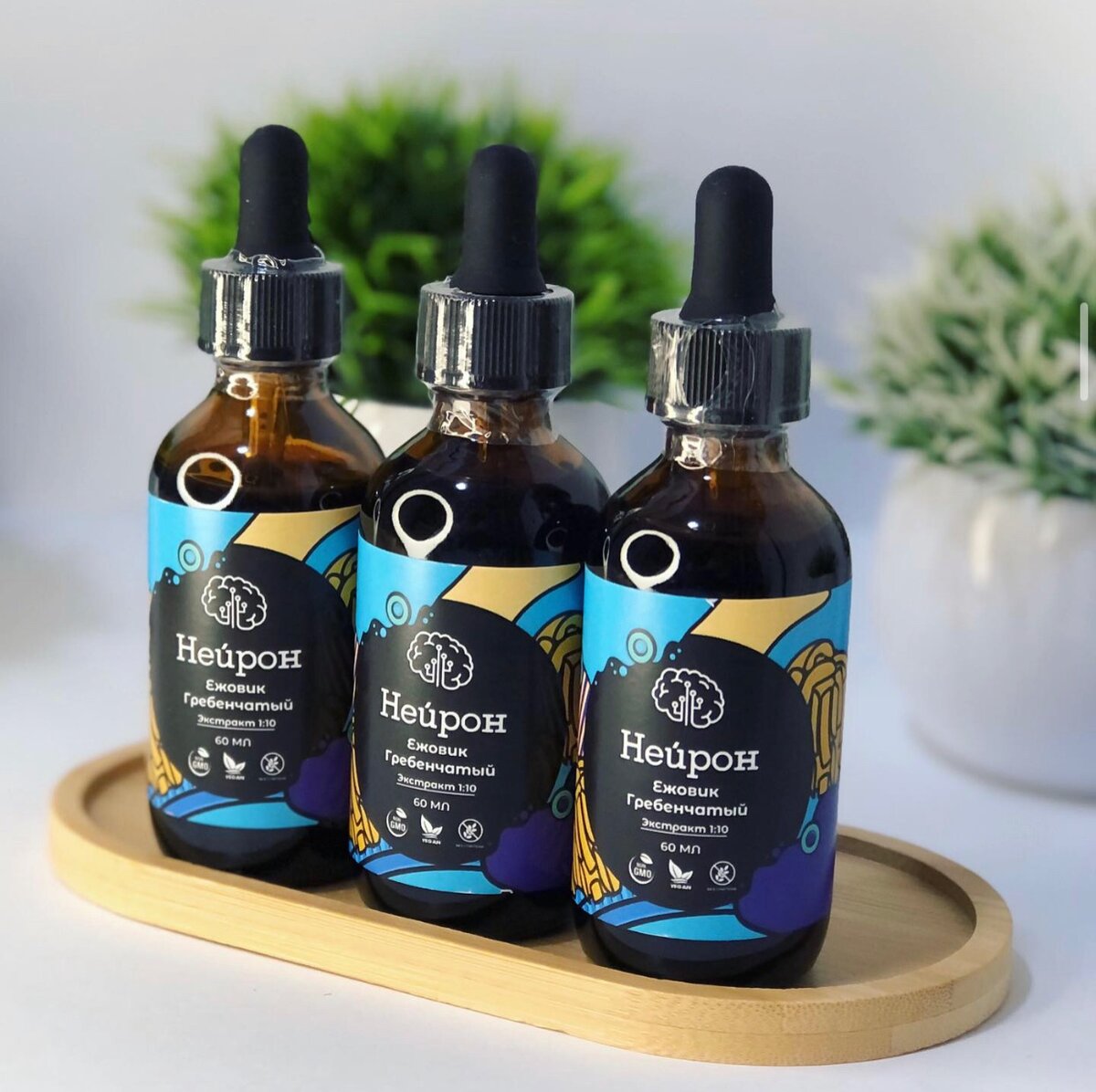 Жидкий ежовик гребенчатый