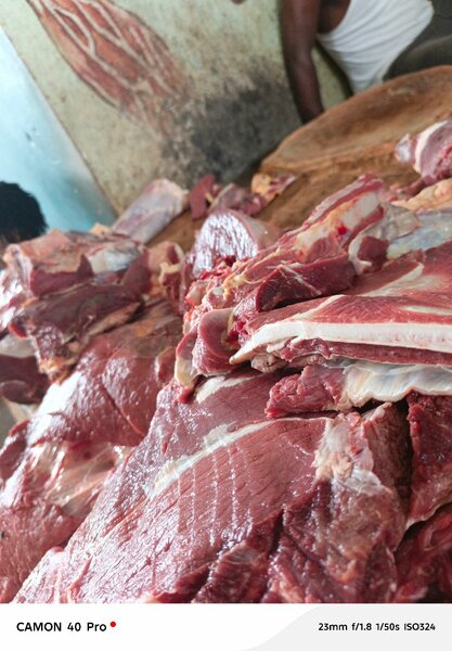 Viande fraîche de qualité