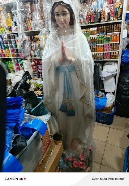 Statut de la Vierge Marie