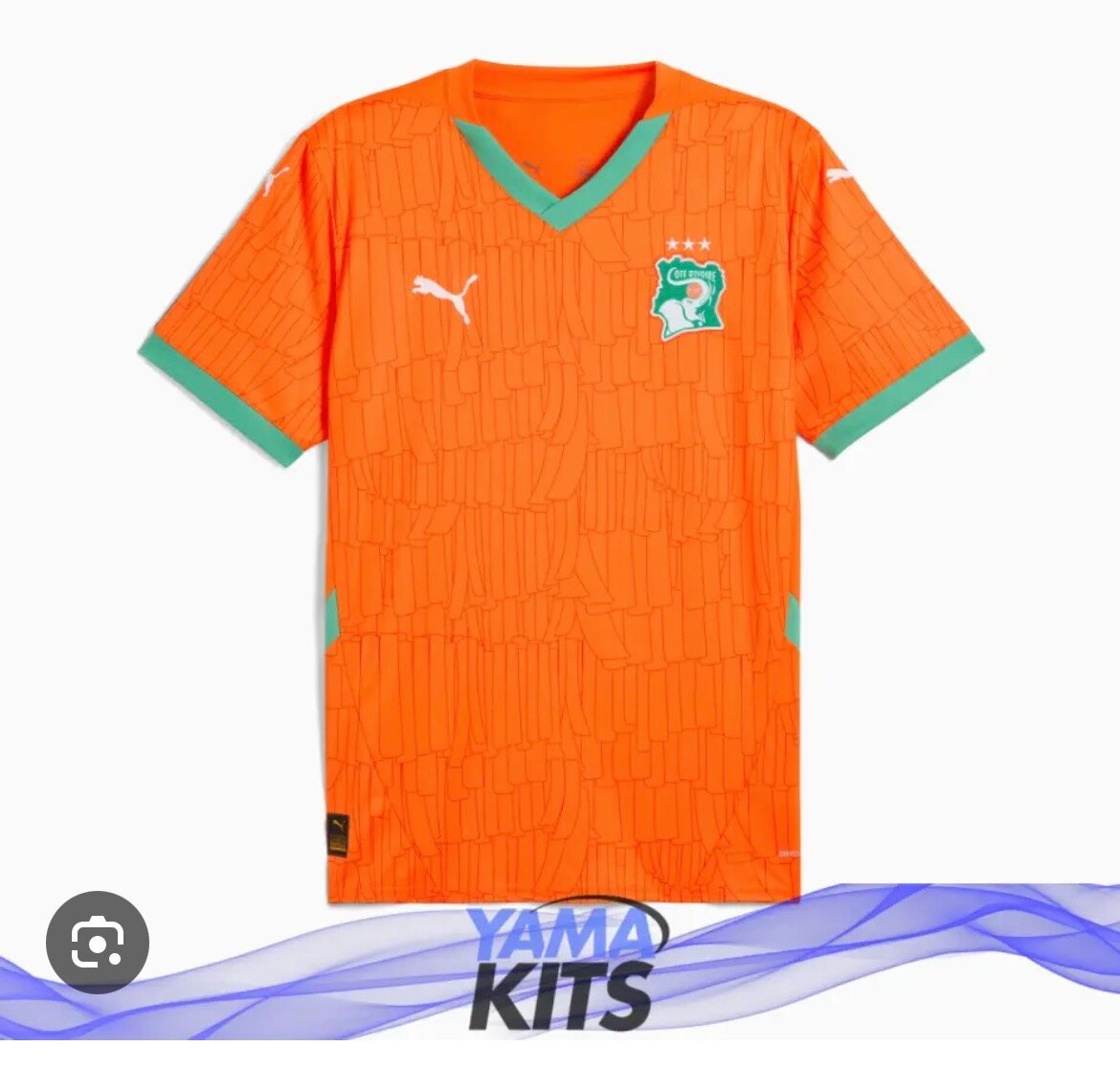 Maillot Côte d'Ivoire Puma