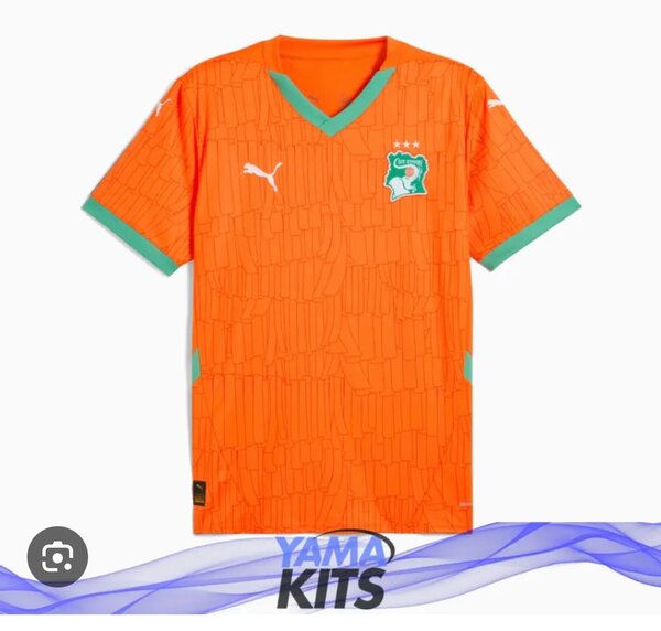 Maillot Côte d'Ivoire Puma